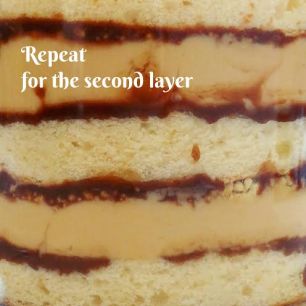 Step: 6 Repeat with the next layer of cake